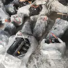 ماكينة باص ديهاتسو