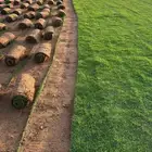 ثيل نجيل سي الفين درج اولي صافي