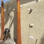 لجميخ توريد النخيل العربي والواشنطني