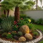 نخل للبيع متواجد في القصيم ونقوم بتركيب اشبوك بجميع انواعها