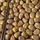 تمر سكري فاخر خراف جديد( تم البيع )