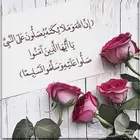 كداد من المدينه المنوره الى العلا