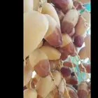شغل النخيل كل ما يلزم خراف تكريب انا قايل قصان الاسيب الناشف