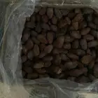 مجدول