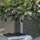 مكنية آيسكريم للبيع نظيفة ونوعيتها ممتازة