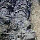 توضيب وبيع قيور امريكي