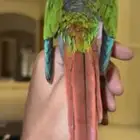 يلو سايد انثى ولا غلطه الصلاه على النبي للمميزين فقط