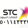 رقم مميز رباعي مكرر