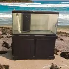 حوض بحري