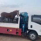 دنا ونش