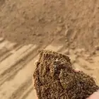 مشاوير ...للبيع جميع خرسانية والبطحاء.. محايل عسير وضواحيها