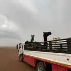 دنا متجها من الحناكية إلى ينبع عوده إلى المدينه