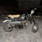 دباب جحش