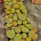 برشومي الحدب يخوان