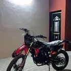 دباب صحراوي