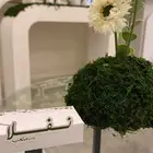كورنر لأستقبال المواليد جاهز