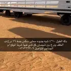 دكه عرزاله شبه جديده