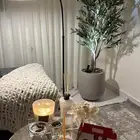 شجرة و ابجورة للبيع