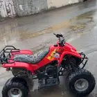 دباب