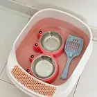 قط ذكر شيرازي