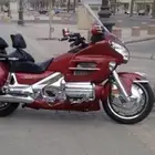 مطلوب قولد وينق