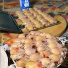 طيور الدخل  . .