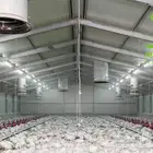 مطلوب عنابر دجاج
