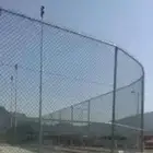 شبك