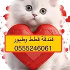 فندقة قطط وطيور وقت سفرك 6061 24 0555 الرياض