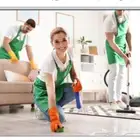 شركة تنظيف غسيل منازل تنظيف خزانات شقق تنظيف كنب وسجاد بالم