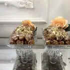 تمر محشي