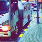 دينه ونش لنقل الحلال