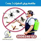 شركة رش حشرات بجده رش صراصير رش مبيدات