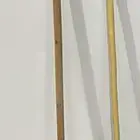 عصا عتم وشوحط