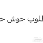 المزاحمية