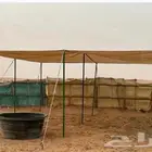 مضلات غنم ومضلات ابل ومضلات سيارات وجميع انواع المضلات وشبوك
