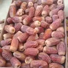 خراف رطب هلاليه وصقعي