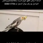 اتمنى يتواصل معي أو مع رقم الحجل ما احلل ولا اسامح من ياخذه