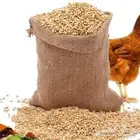 أعلاف دجاج