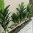 تنسيق حدائق