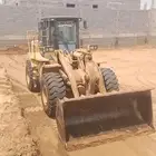 شيول صيني لوقنق 2013