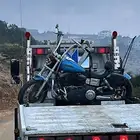 سطحه بيشة