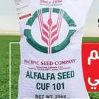 4 اكياس بذور برسيم امريكي باسفيك