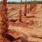 جميع مناطق الرياض