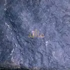 نيزك.meteor