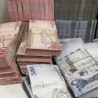 مشروع دواجن