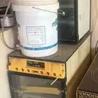 فقاسه برنسي تماتيك