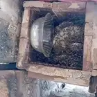 نحل بلدي خليا مربع العدد 40 نحلل ممتاز مليان ريش جاهز لسدر