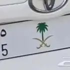 لوحه مميزة للبيع