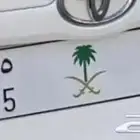 لوحه مميزة للبيع